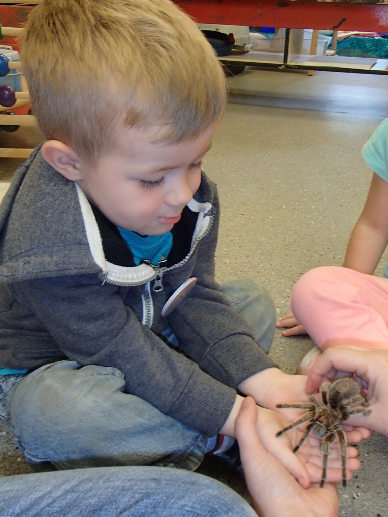 ACM About Our School